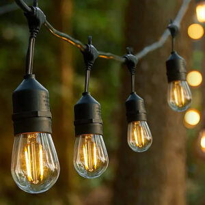 Vintage S14 Edison Outdoor String Lights